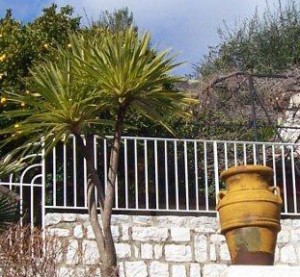 miljø_vence_04